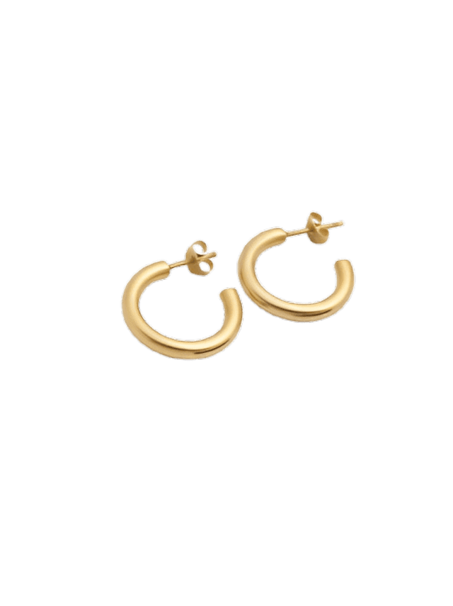 Classic Earrings